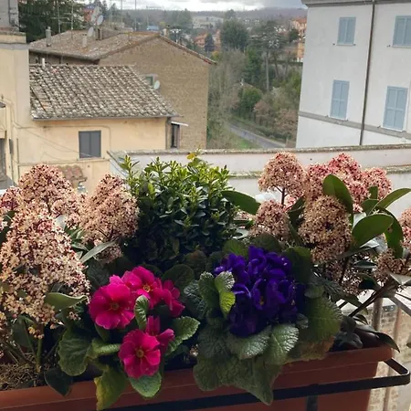 Apartment La Casetta Nel Granaio Capranica